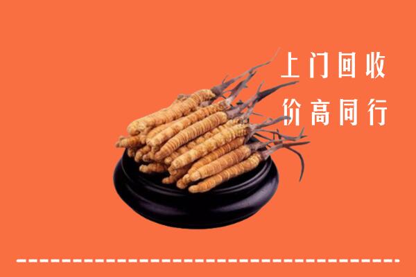 高价求购：惠东县回收散虫草