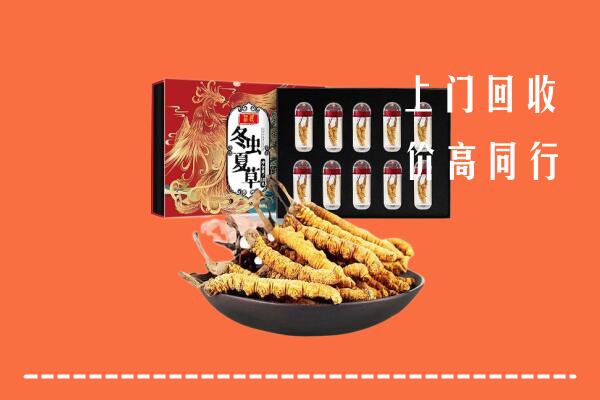 收购行情：惠东县回收虫草